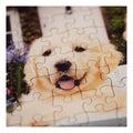Golden Retriever, 200pc - Image