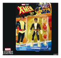 Marvel Legends Series Marvel's Sunspot (Case of 8)
