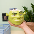 DreamWorks Shrek 3D Bowl Hand-Painted Dolomite 1 Litre close up detail