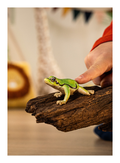 Schleich - European Tree Frog - Image