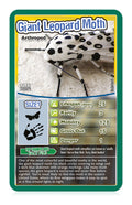 Bugs Top Trumps Card Game - Image