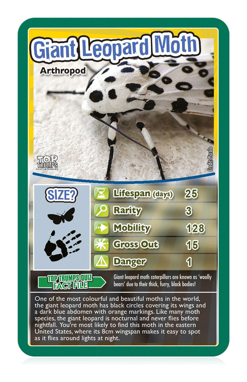 Bugs Top Trumps Card Game - Image