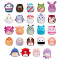 Squishmallows - 2.5in Micromallows Blind S6 collectible from Abgee