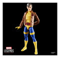 Marvel Legends Series Marvel's Morph Action Figure - Image