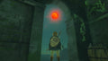 The Legend of Zelda: Tears of the Kingdom - Nintendo Switch in-game view