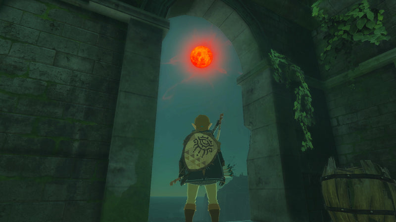 The Legend of Zelda: Tears of the Kingdom - Nintendo Switch in-game view