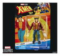 Marvel Legends Series Marvel's Logan - Image
