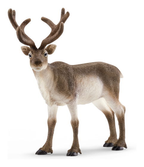 Schleich Reindeer