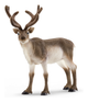 Schleich Reindeer