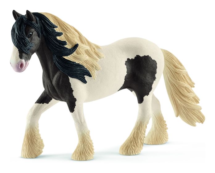 Schelich Tinker Stallion
