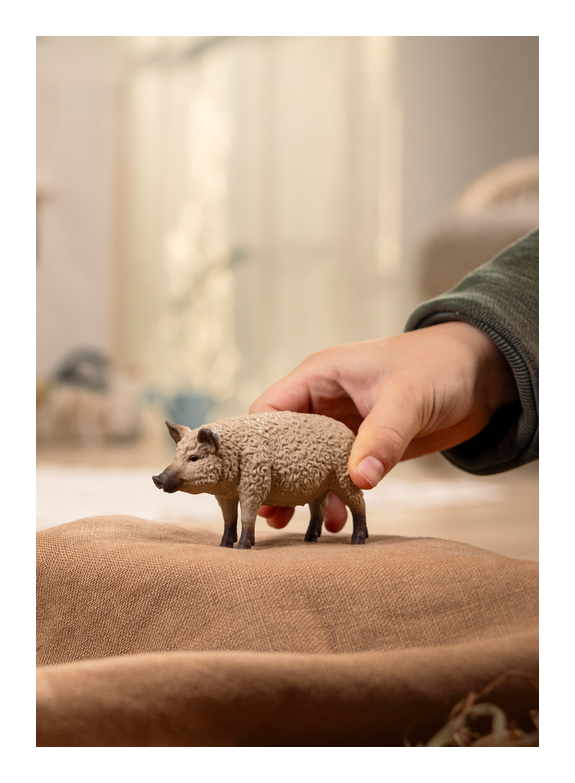 Schleich - Mangalica - Image
