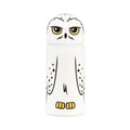 Harry Potter Hedwig 3D Case