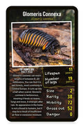 Top Trumps Creepy Crawlies