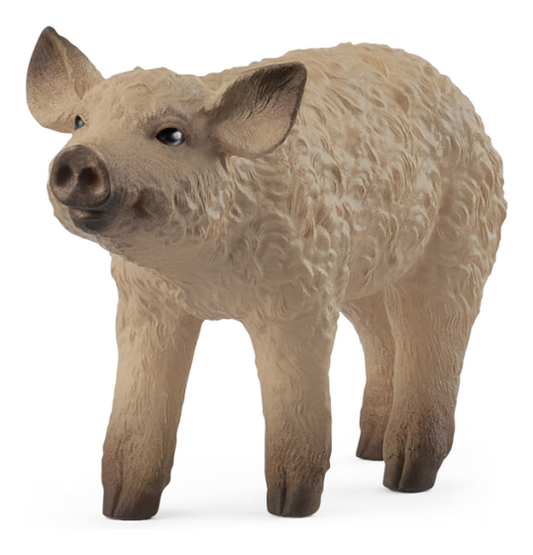 Schleich Mangalica Piglet