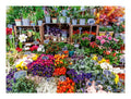 Flower Market, France, 500pc - Image