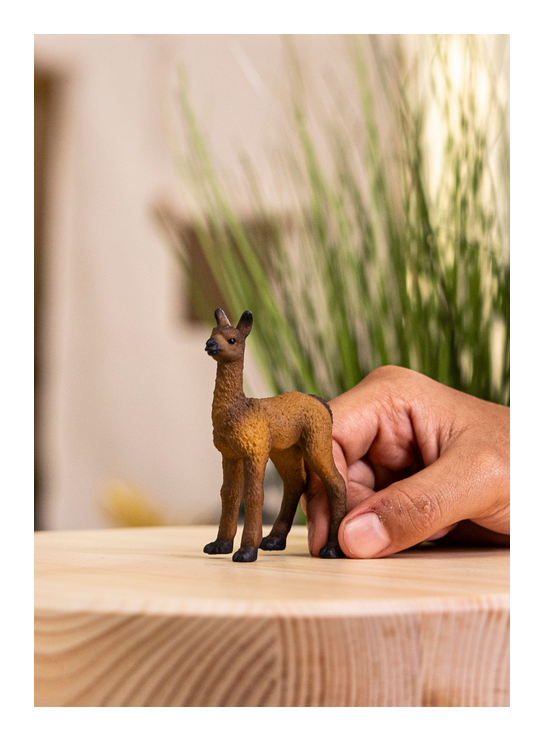 Schleich - Llama Foal - Image