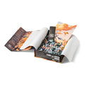 Romantasy - Onyx Storm 500 Piece Jigsaw Puzzle
