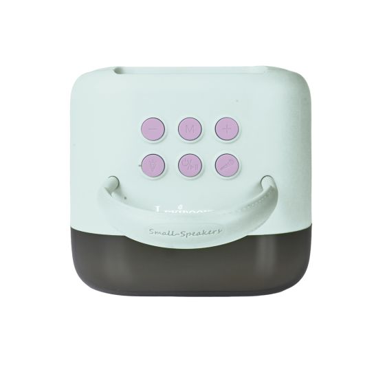 Disney Frozen Bluetooth Karaoke Speaker & 2 Wireless Microphones