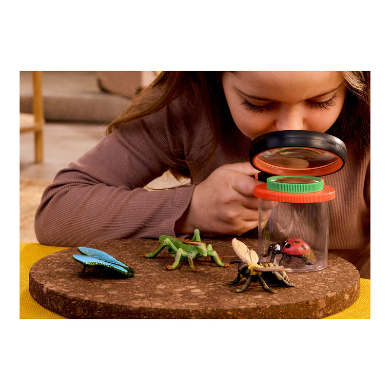 Schleich - Insects Discovery Set