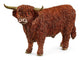 Schleich Highland Bull