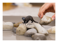 Schleich - Otter - Image