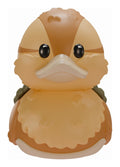 Turtle Duck