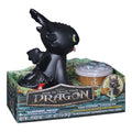Dreamworks Dragons Feeding Fish Toothless