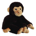 eco-nation-chimpanzee-9-5