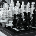 Masterpiece Chess Table, rear view