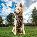 Marvel Premium (Medium/Large) Dog Harness - Image 2
