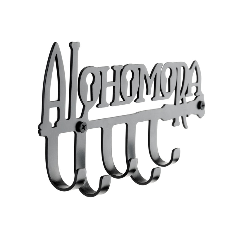 Harry Potter - Alohomora Key Holder close up detail