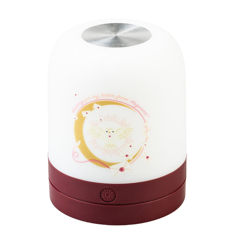 Harry Potter Hedwig Rechargeable Ambient Lamp with Touch Control