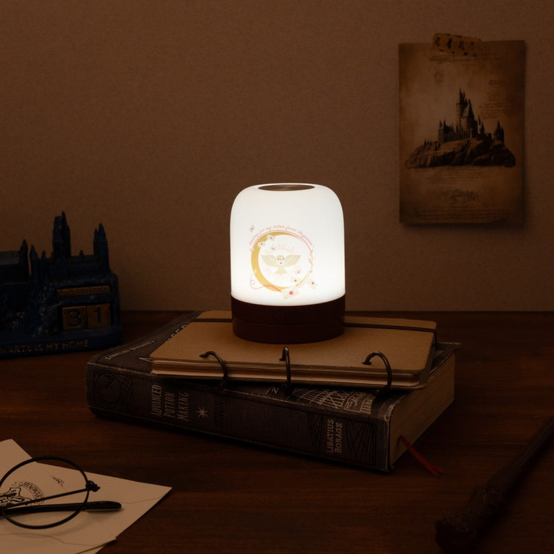 Harry Potter Hedwig Rechargeable Ambient Lamp with Touch Control close up detail