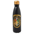 Harry Potter Hogwarts Hot & Cold Metal Bottle 500ml