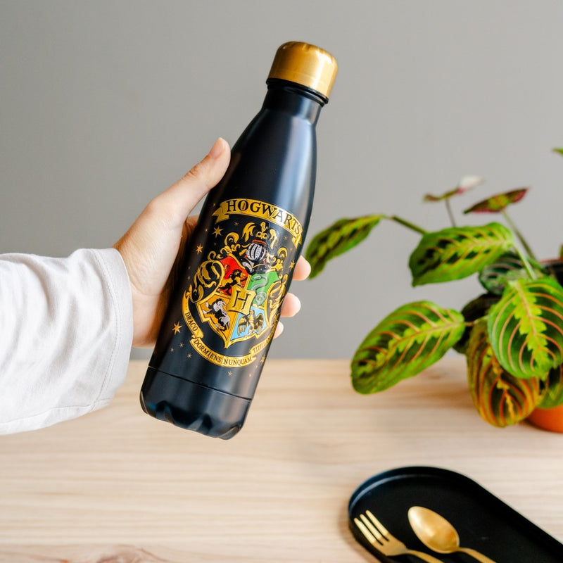 Harry Potter Hogwarts Hot & Cold Metal Bottle 500ml design detail