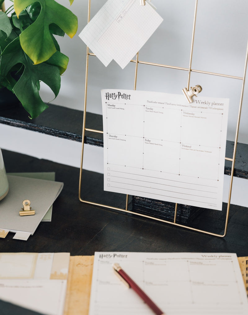 Harry Potter Weekly Planner with Sticky Notes packaging view