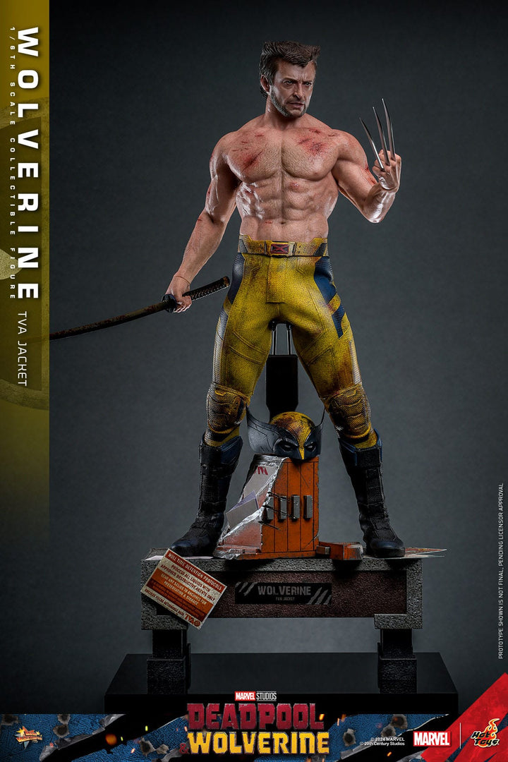 Hot Toys Deadpool & Wolverine Wolverine (TVA Jacket Version) 1/6th Scale Figure