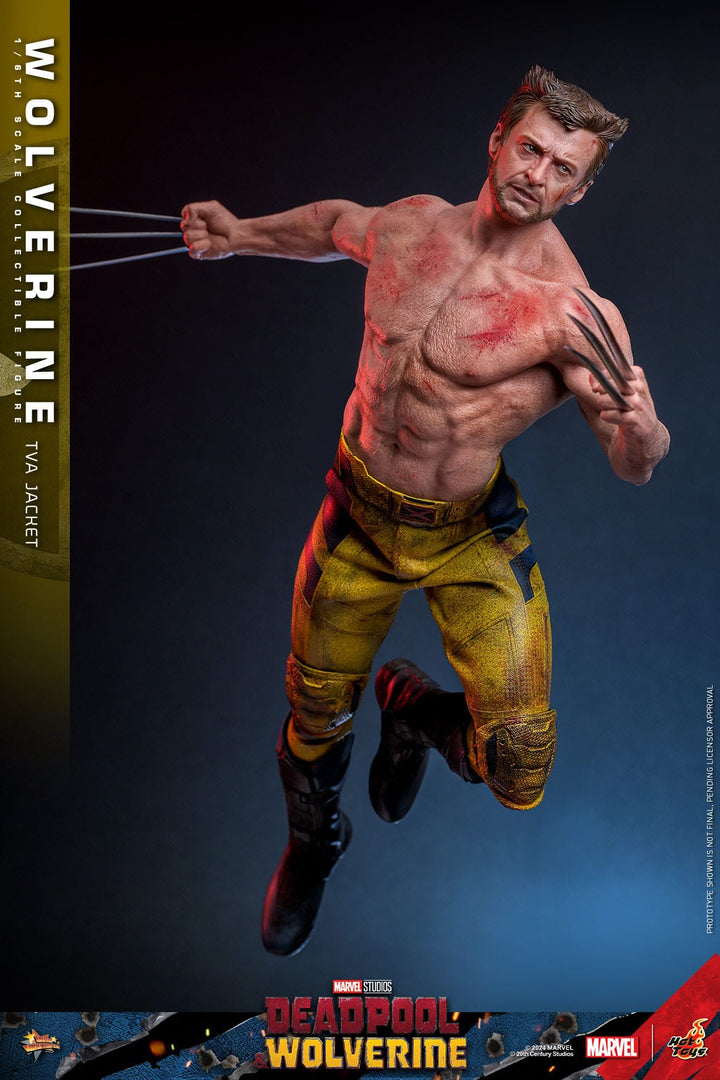 Hot Toys Deadpool & Wolverine Wolverine (TVA Jacket Version) 1/6th Scale Figure