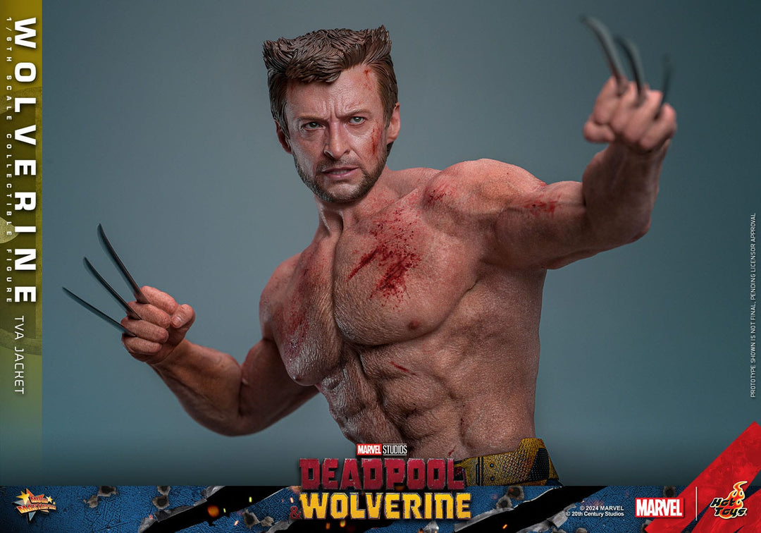 Hot Toys Deadpool & Wolverine Wolverine (TVA Jacket Version) 1/6th Scale Figure