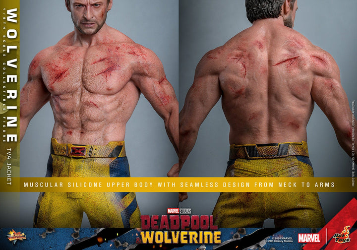 Hot Toys Deadpool & Wolverine Wolverine (TVA Jacket Version) 1/6th Scale Figure