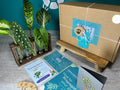 Plant Propagation Gift Set #7, side angle