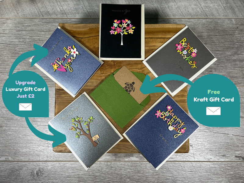 Plant Propagation Gift Set #7, in display