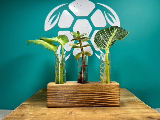 Plant Propagation Gift Set #6, alternate view