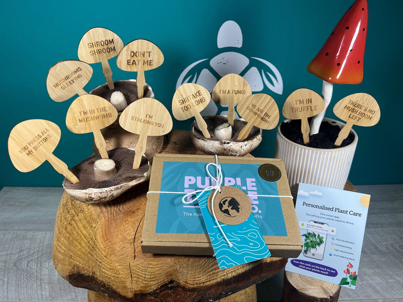 Mushroom Plant Stakes Gift Set, packaging shot