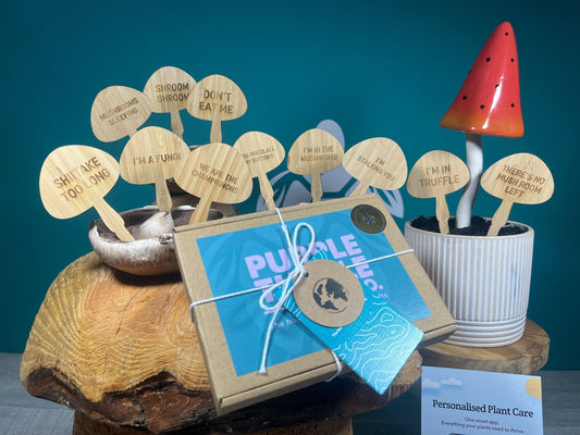 Mushroom Plant Stakes Gift Set, alternate view