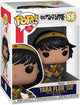 Funko Heroes With Purpose: DC Future State (Yara Flor)