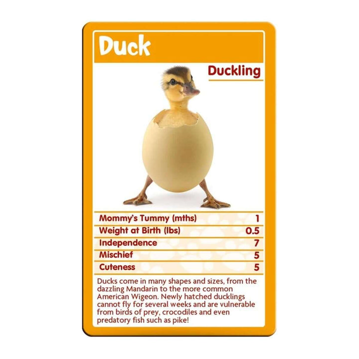 Top Trumps Classics Baby Animals