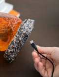 Jurassic Park Amber Lamp packaging view