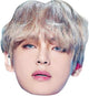 BTS Tae-Hyung Kim NAM-Joon Cut Out Mask