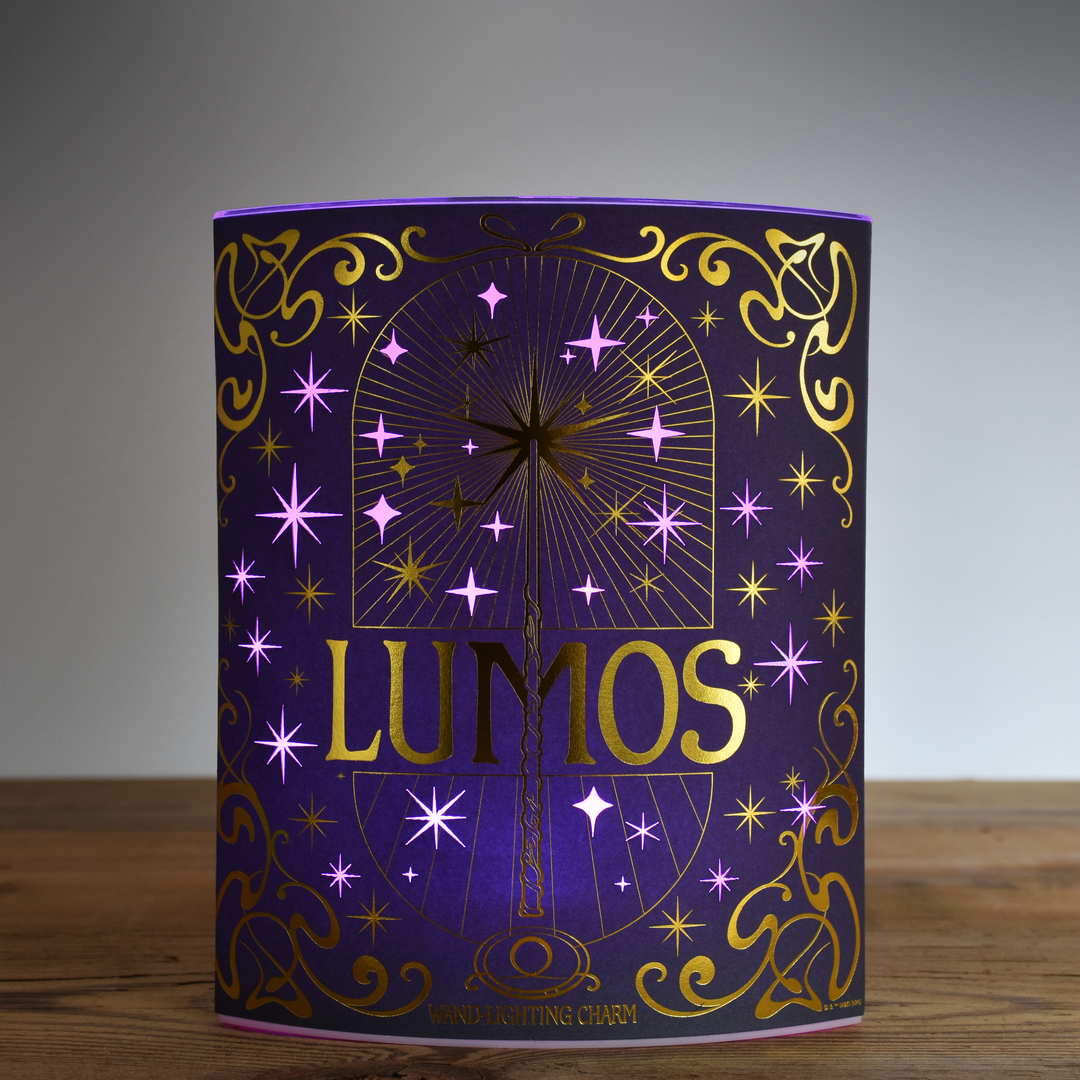 Harry Potter Magical Locations Colour Changing Lantern Light